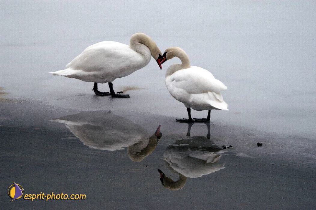 Nom de l'image : EP08-0400_(c)Norbert-JUNG — Description :